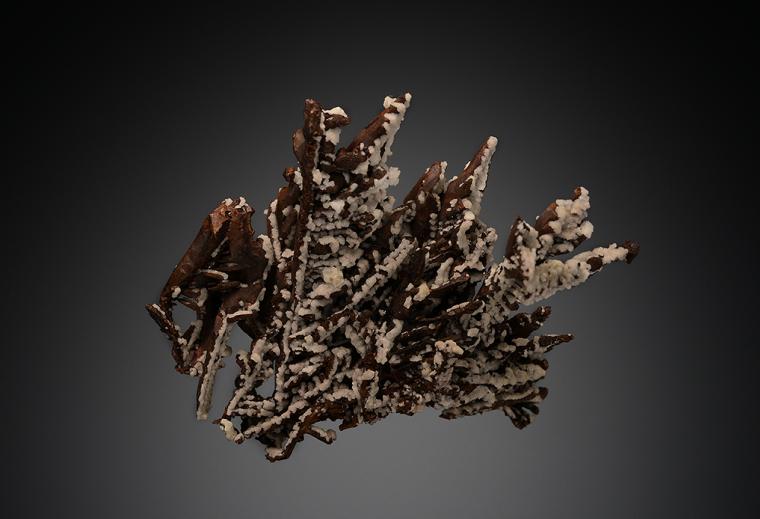 COPPER with PREHNITE